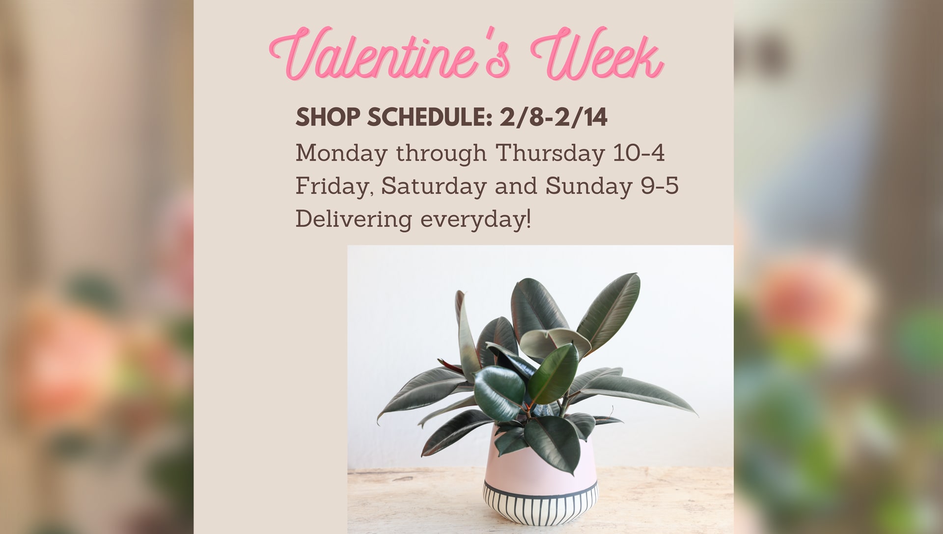 Petaluma Florist Flower Delivery by Flower Casita