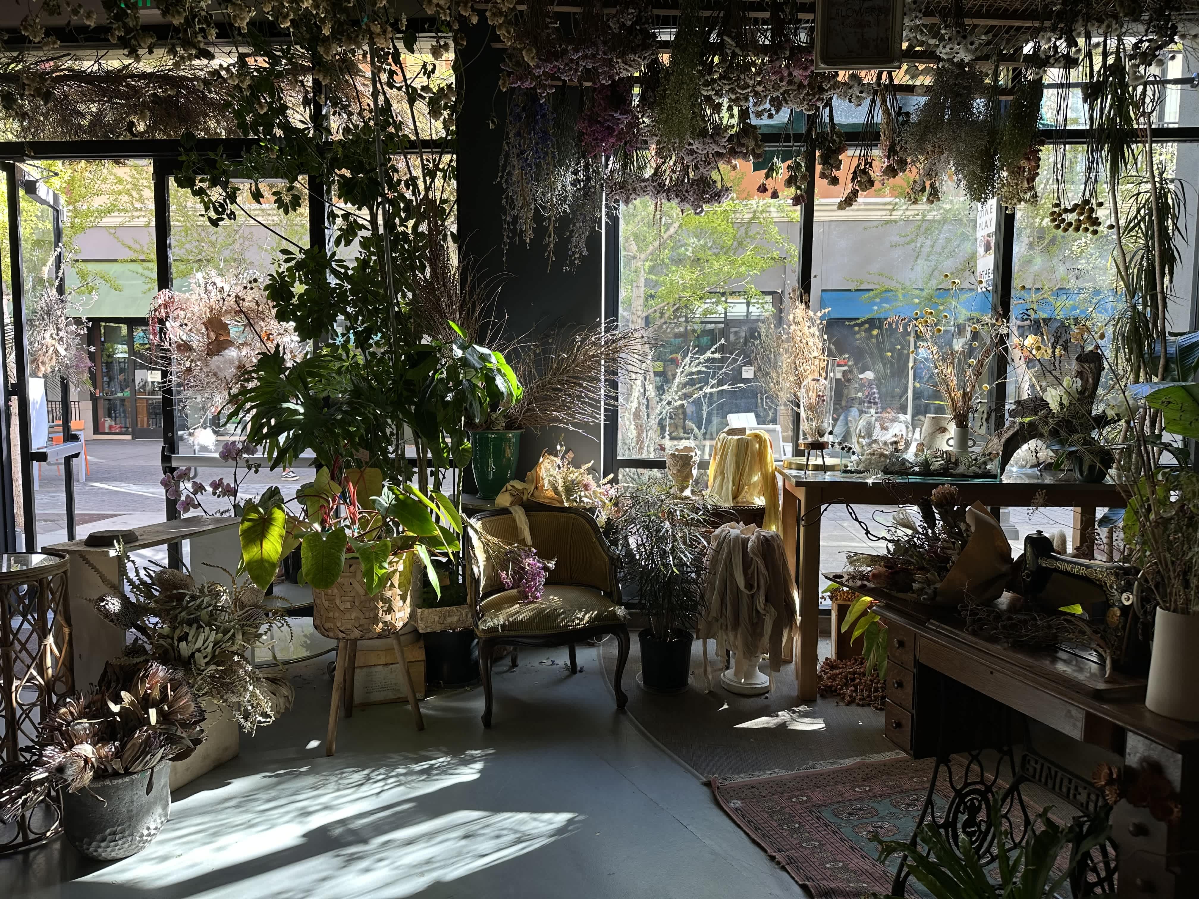 Welcome to our shop!