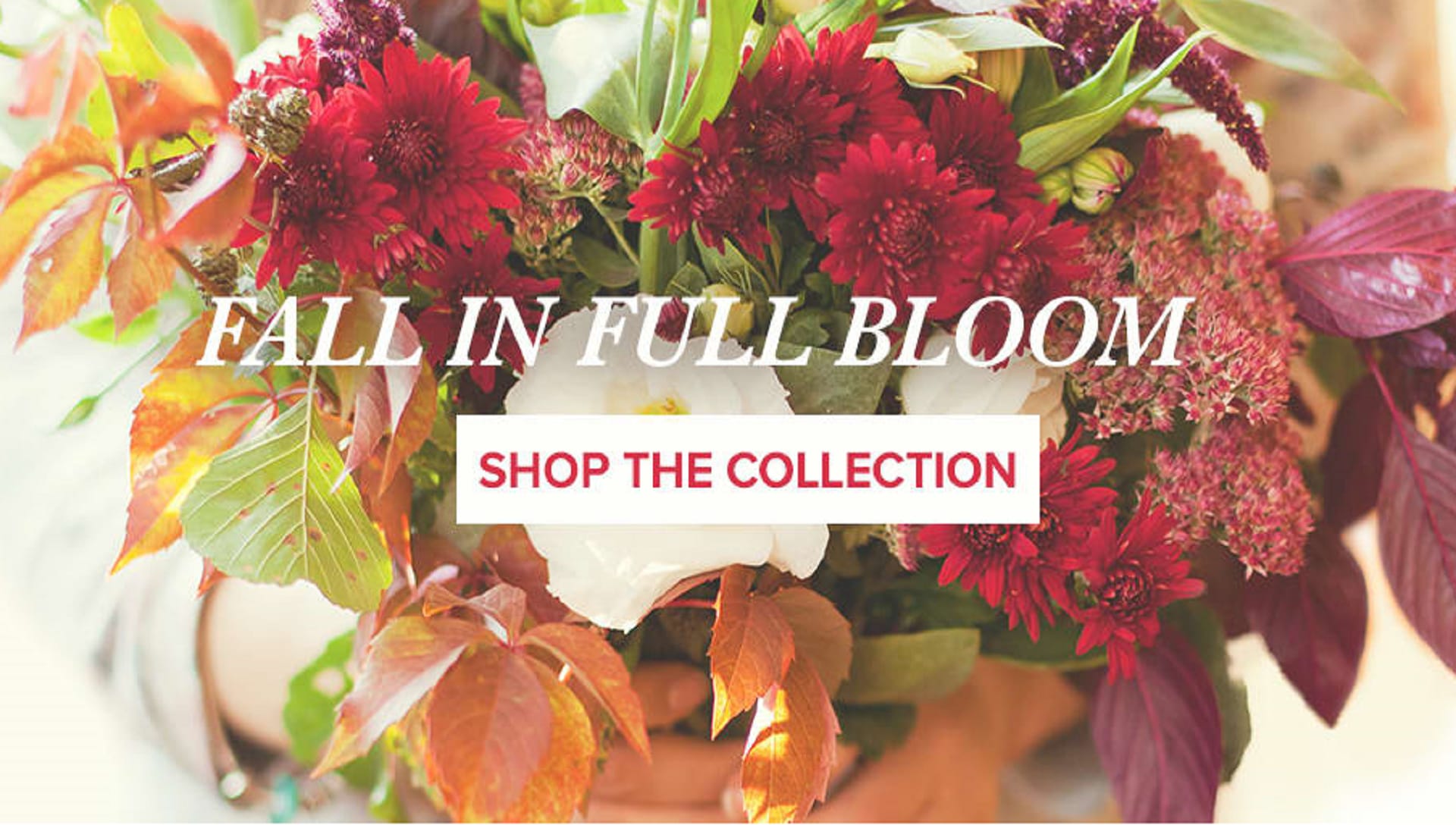 Dunkirk Florist Flower Delivery by Karen's of Calvert Florist & Gifts