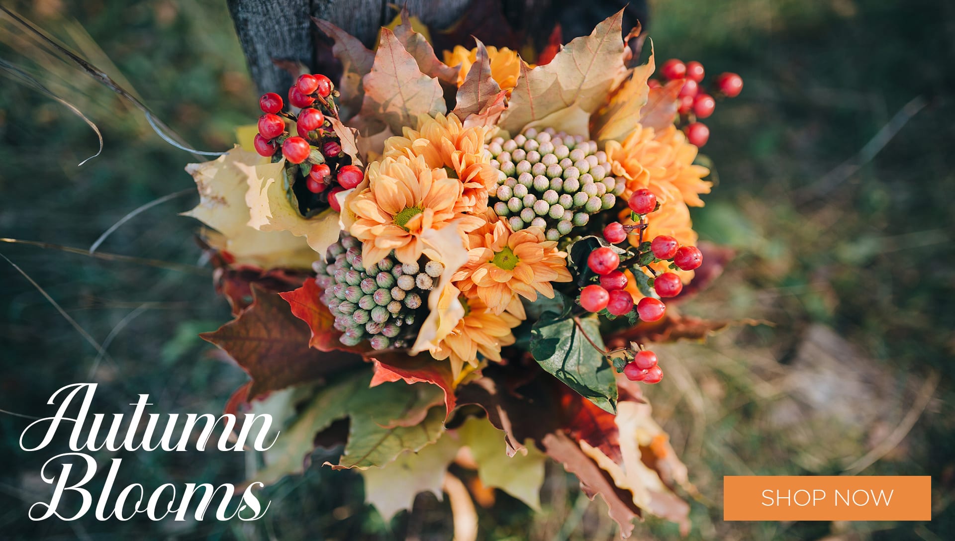 Dunkirk Florist Flower Delivery by Karen's of Calvert Florist & Gifts