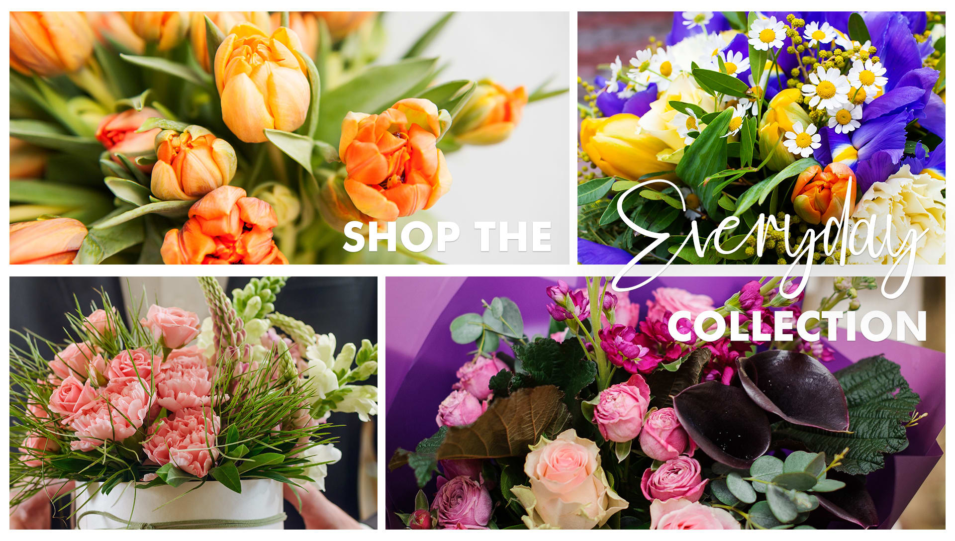 Sherwood Florist Flower Delivery by Sherwood Florist & Every Blooming