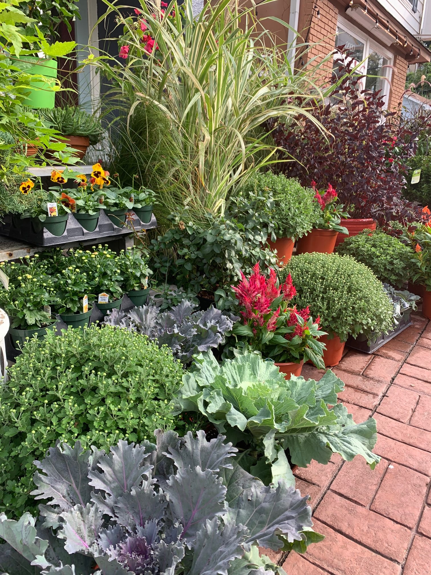 Highlands Florist Flower Delivery by In the Garden