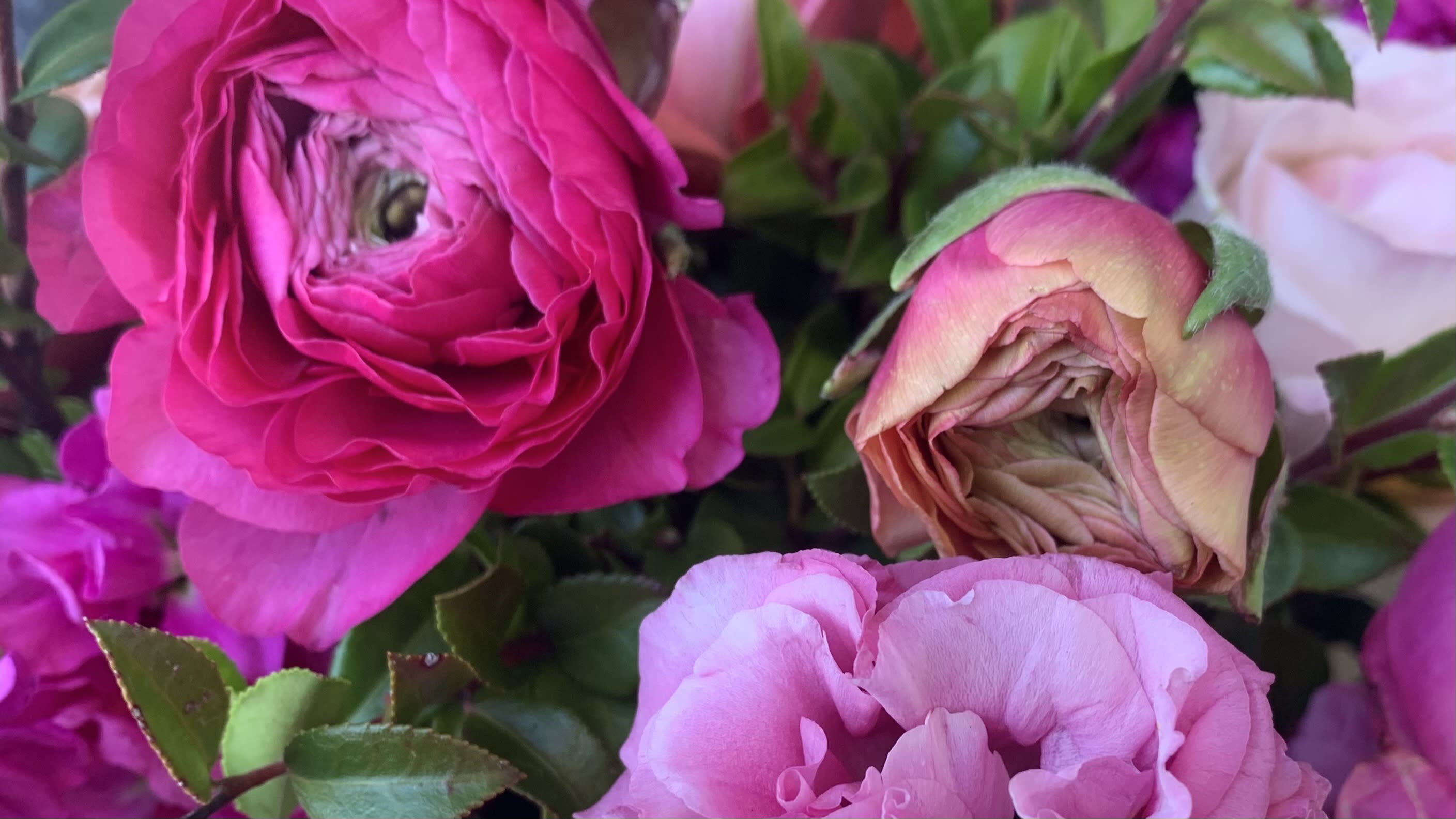 Highlands Florist Flower Delivery by In the Garden