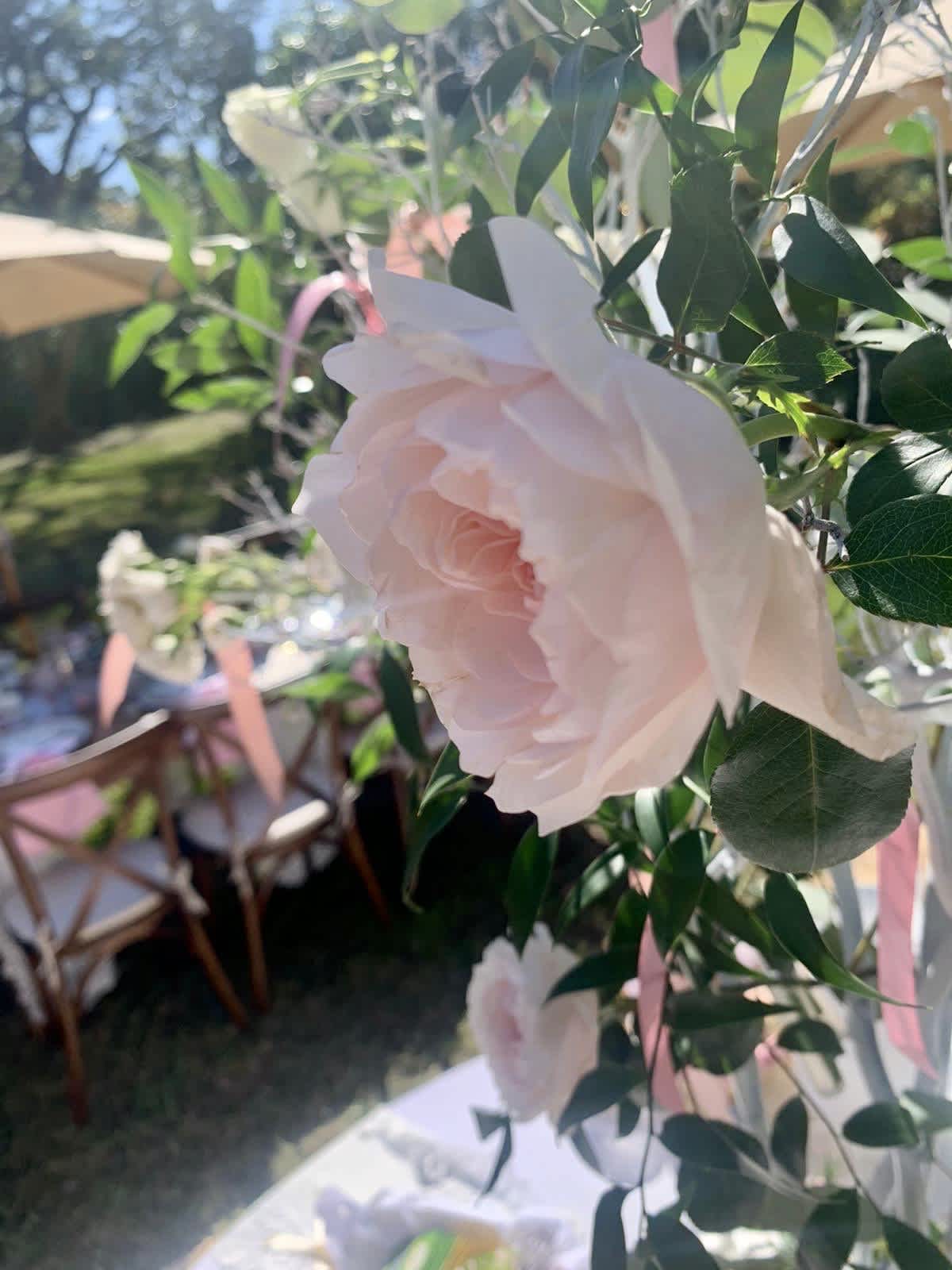 Bridal Showers and Engagement Parties