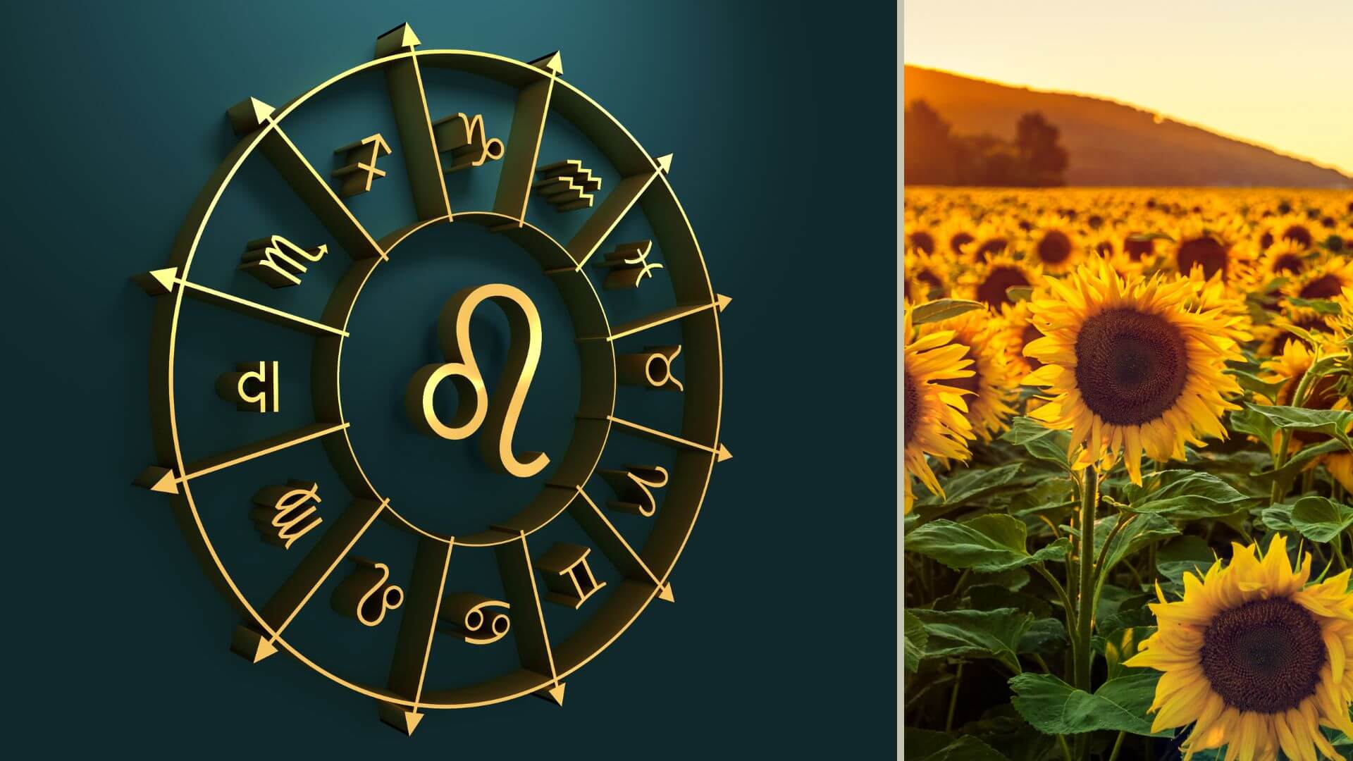 What is Your Zodiac Flower – Leo