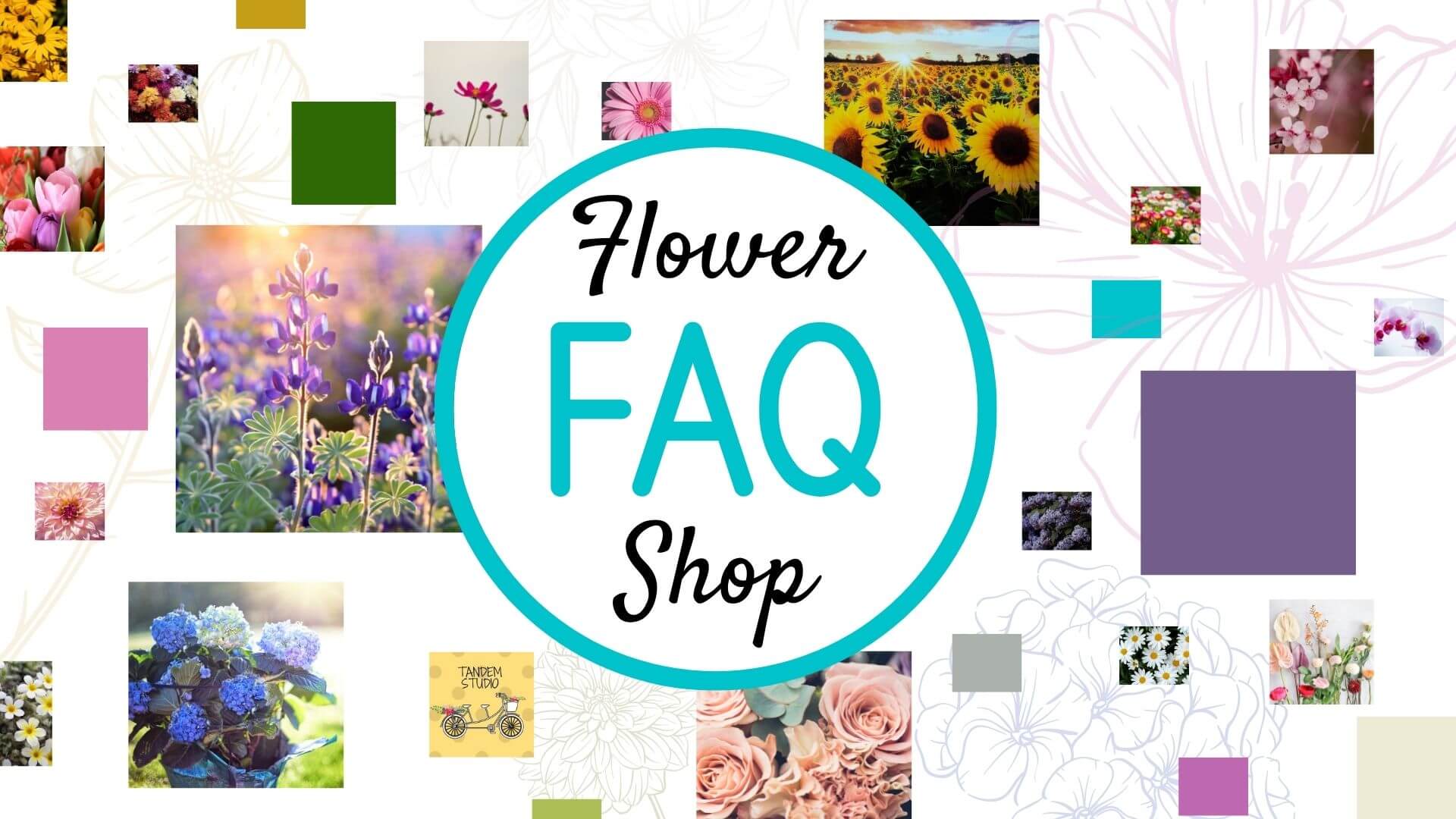 10 Flower Shop FAQs