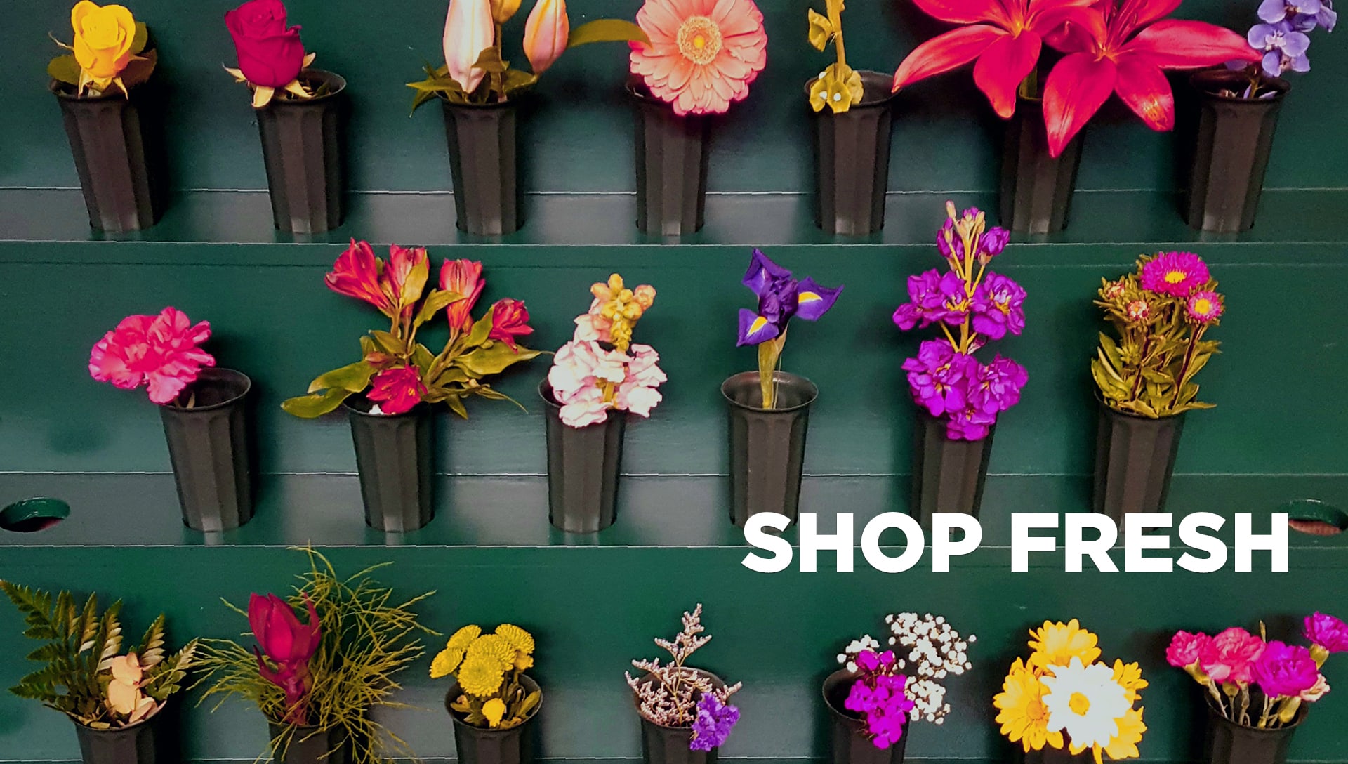 Eureka Florist Flower Delivery by Eureka Florist