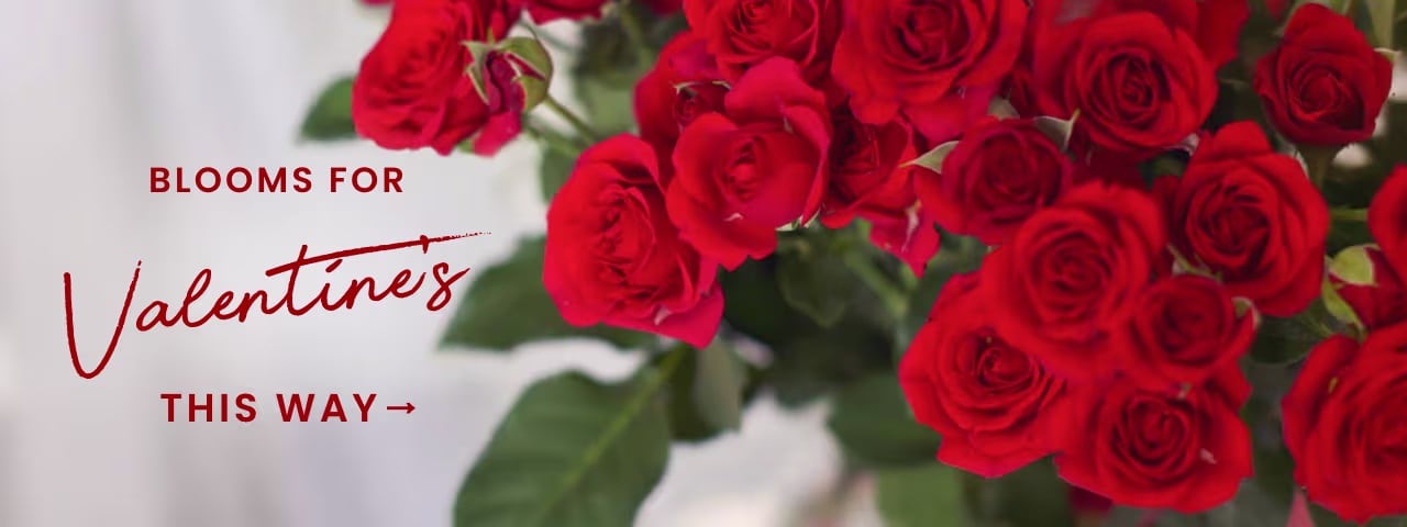 Where to Buy Valentine’s Flowers in Irvine Today