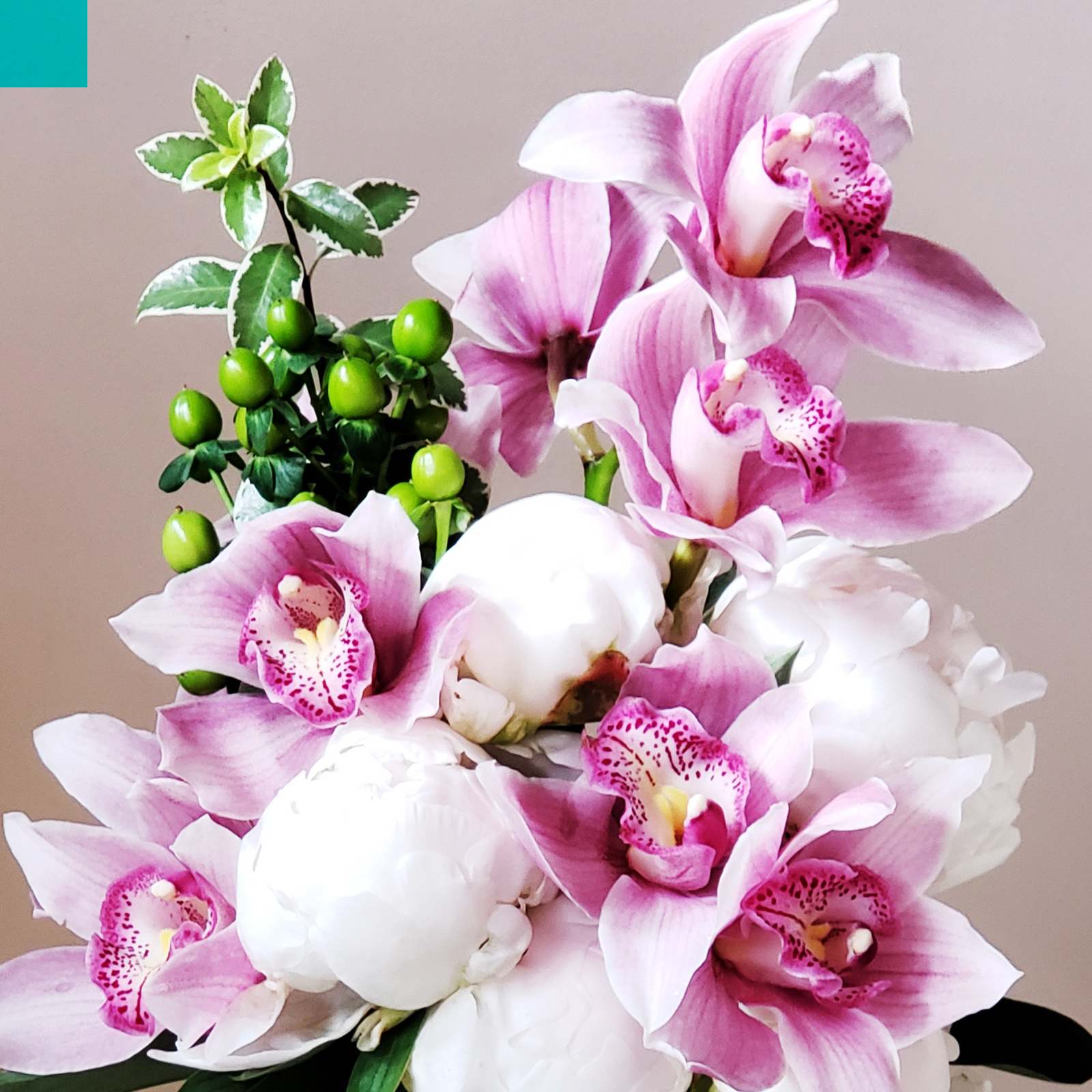 Orchids and Succulent Garden Gift Plant Delivery O.C