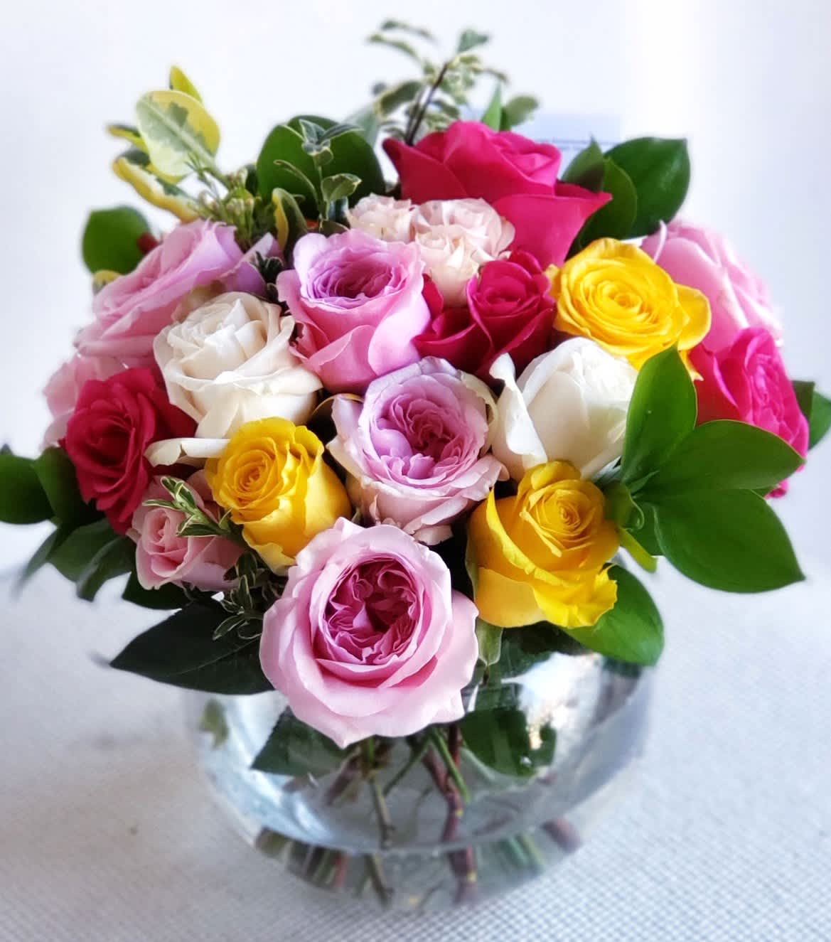 Spring is in The Air