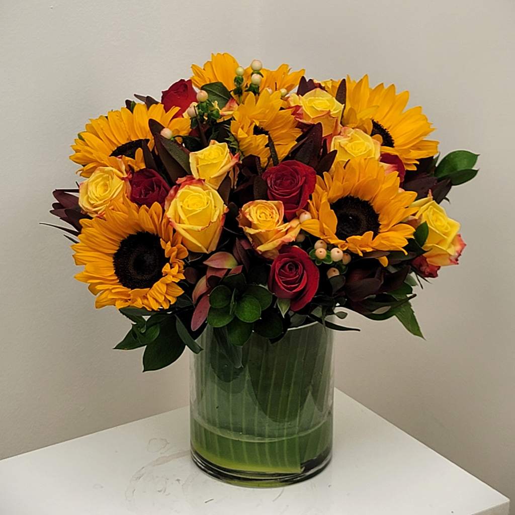 Tomorrow's the Day, Autumn's on Its Way! 