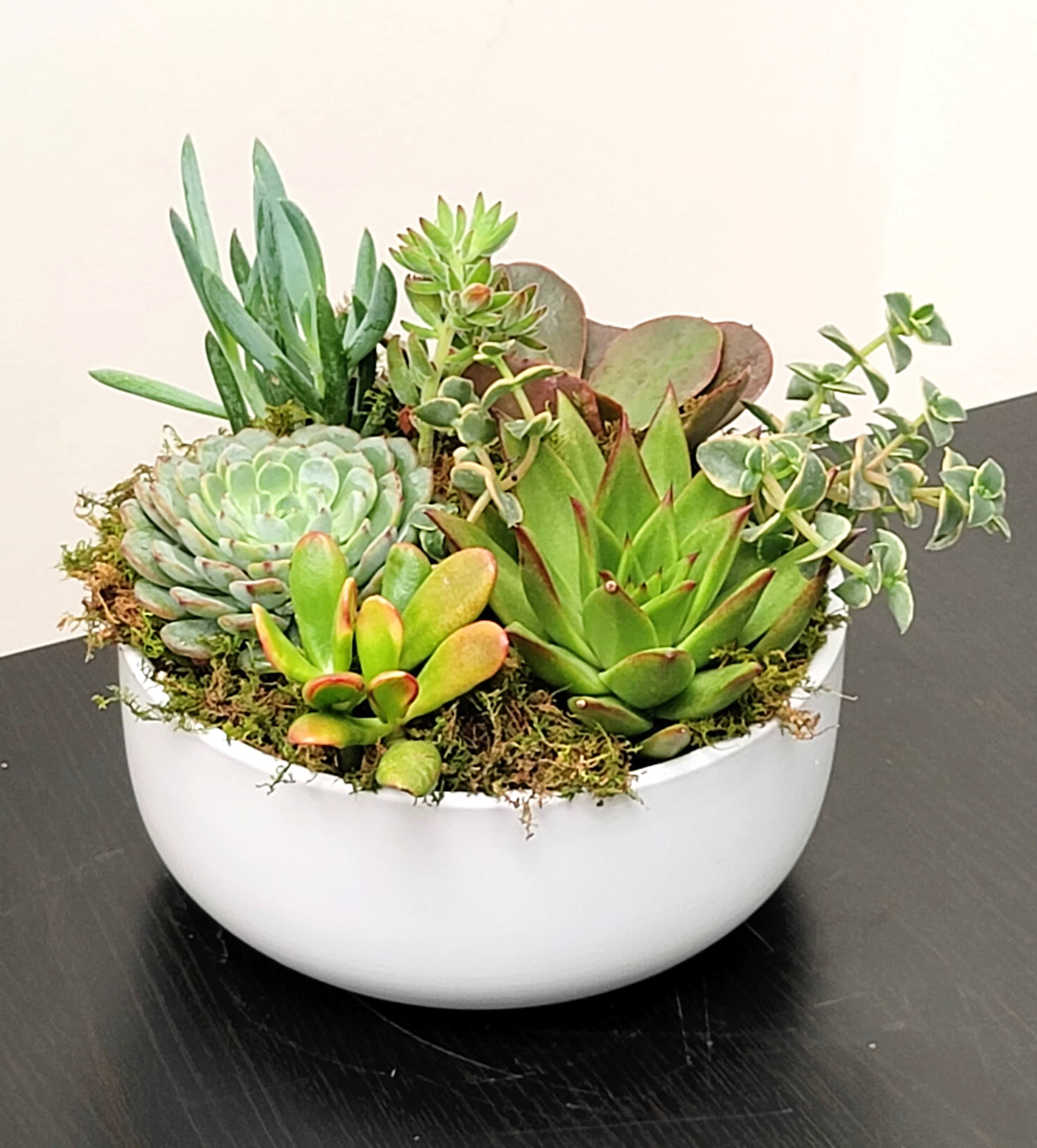 Father's Day Gifts Beyond the Expected