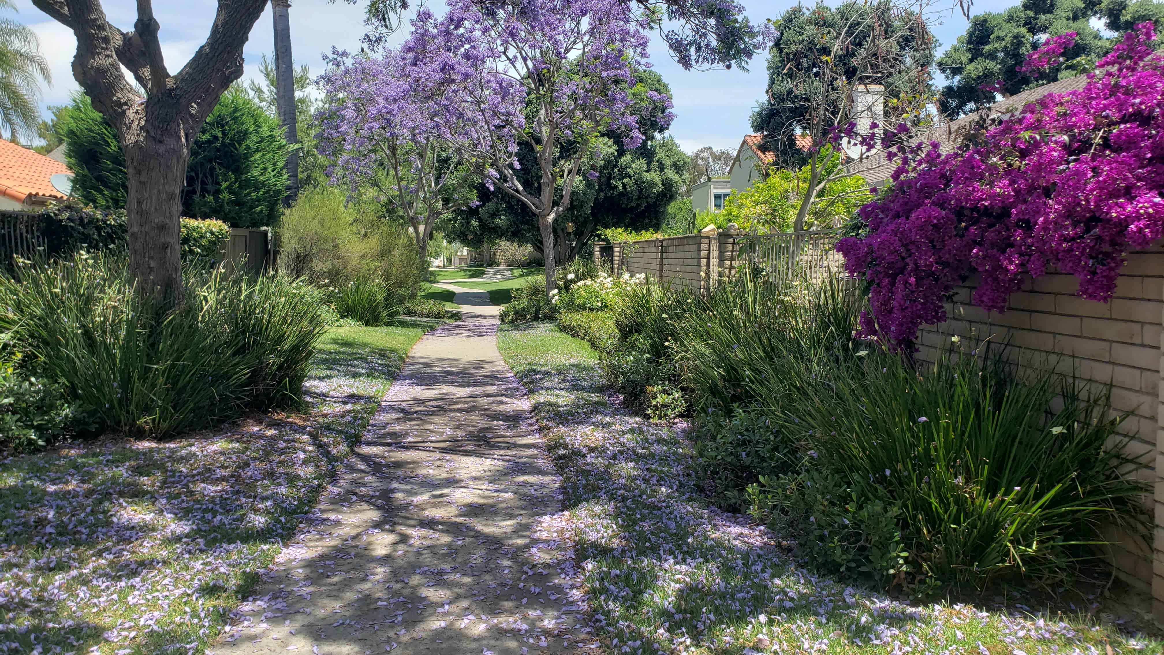 Flower Delivery Back to School Teachers and Students