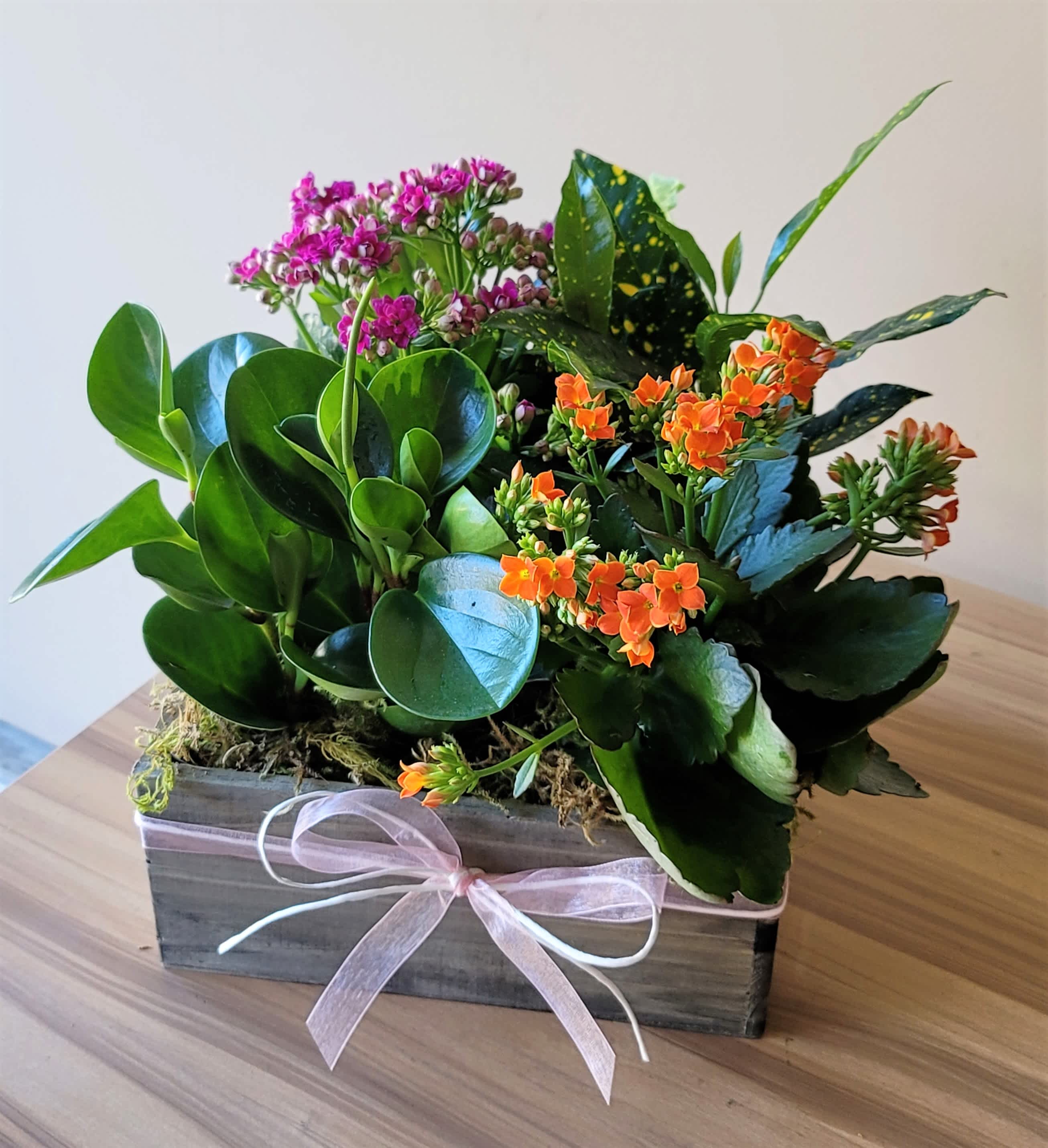 Small Business Saturday