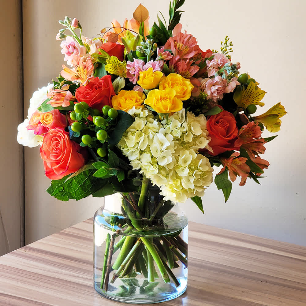 Surprise Your Parents