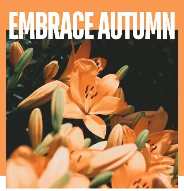 Embrace the Season with Stunning Autumn Arrangments!