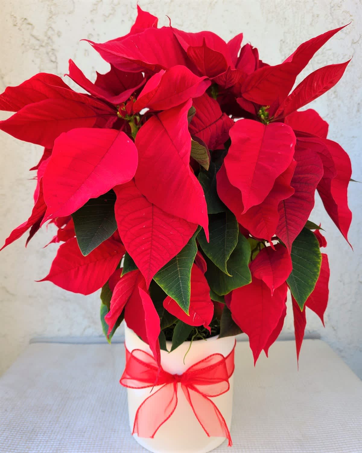 Now, it's time to break out of the colorful lights.