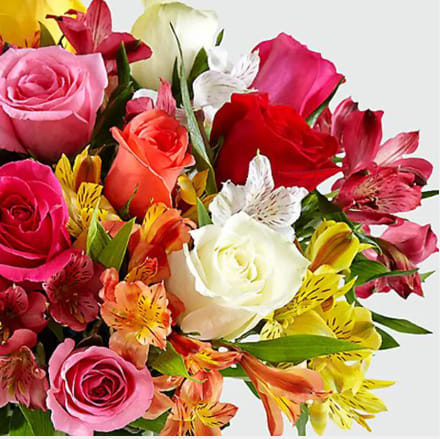 Sending Cheers to the Orange County Area