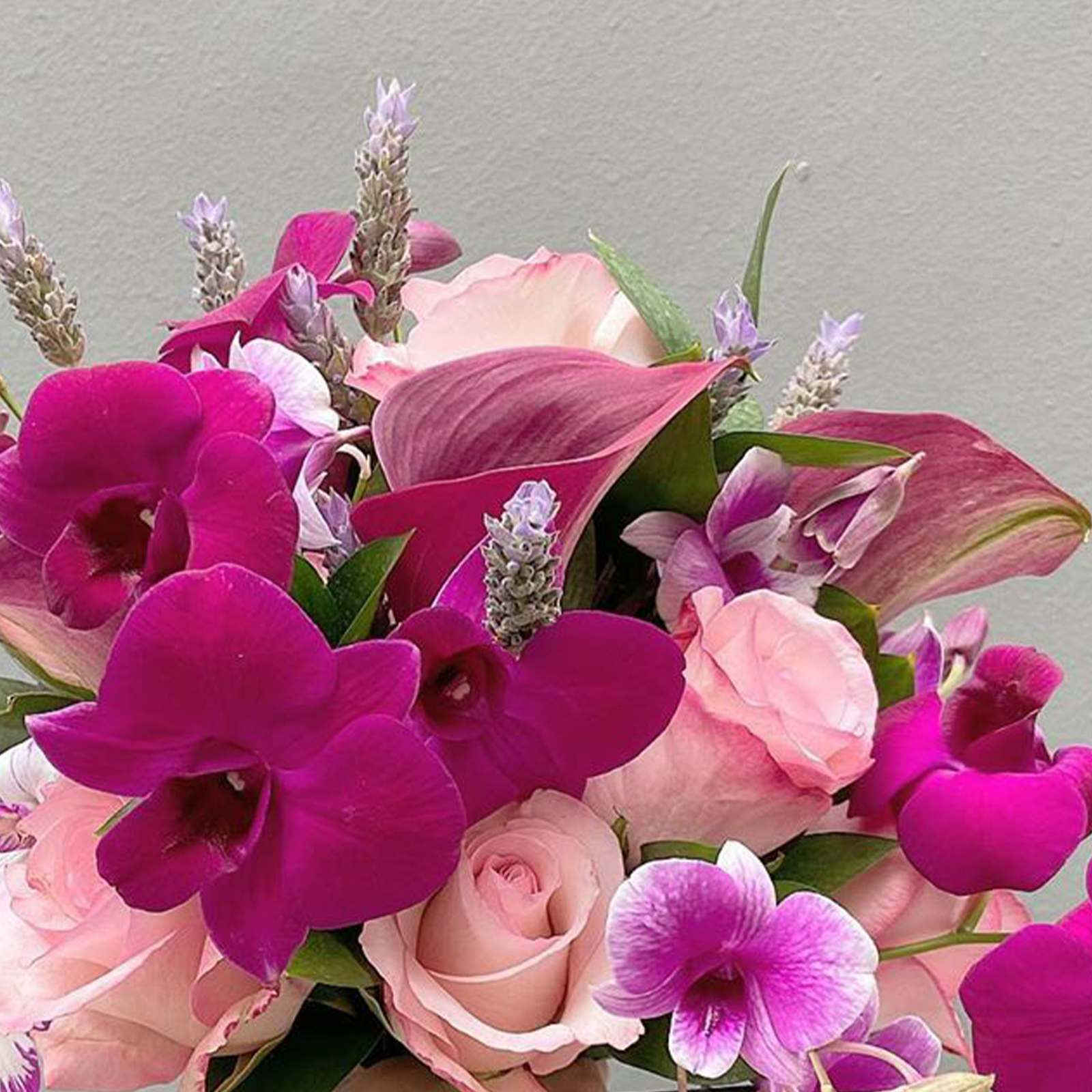 Go PINK and celebrate survivors