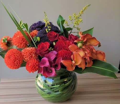 Flower of the Month: Dahlia