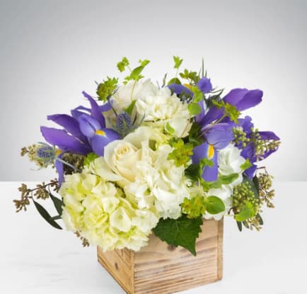 Breath of Fresh Air Flower Delivery