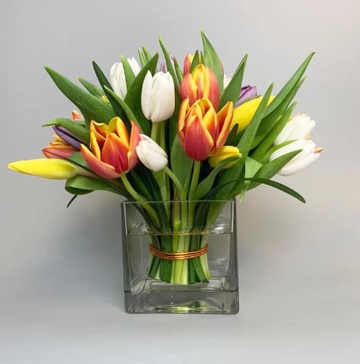 Sending Tulips Intertwined to the Irvine Area