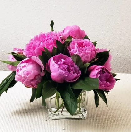 Delivery of Lavender Peonies to Orange County