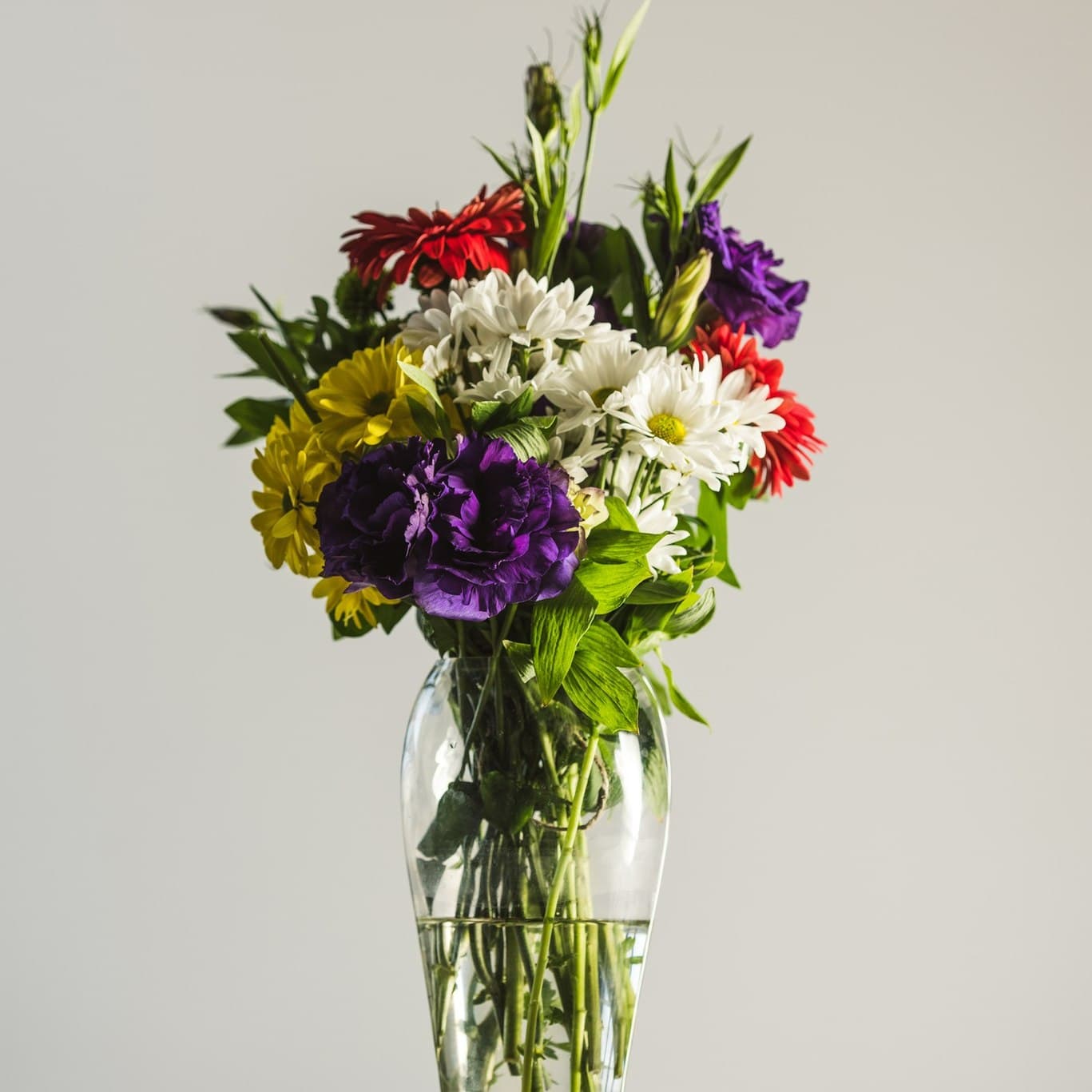 Surprise someone special with flowers !