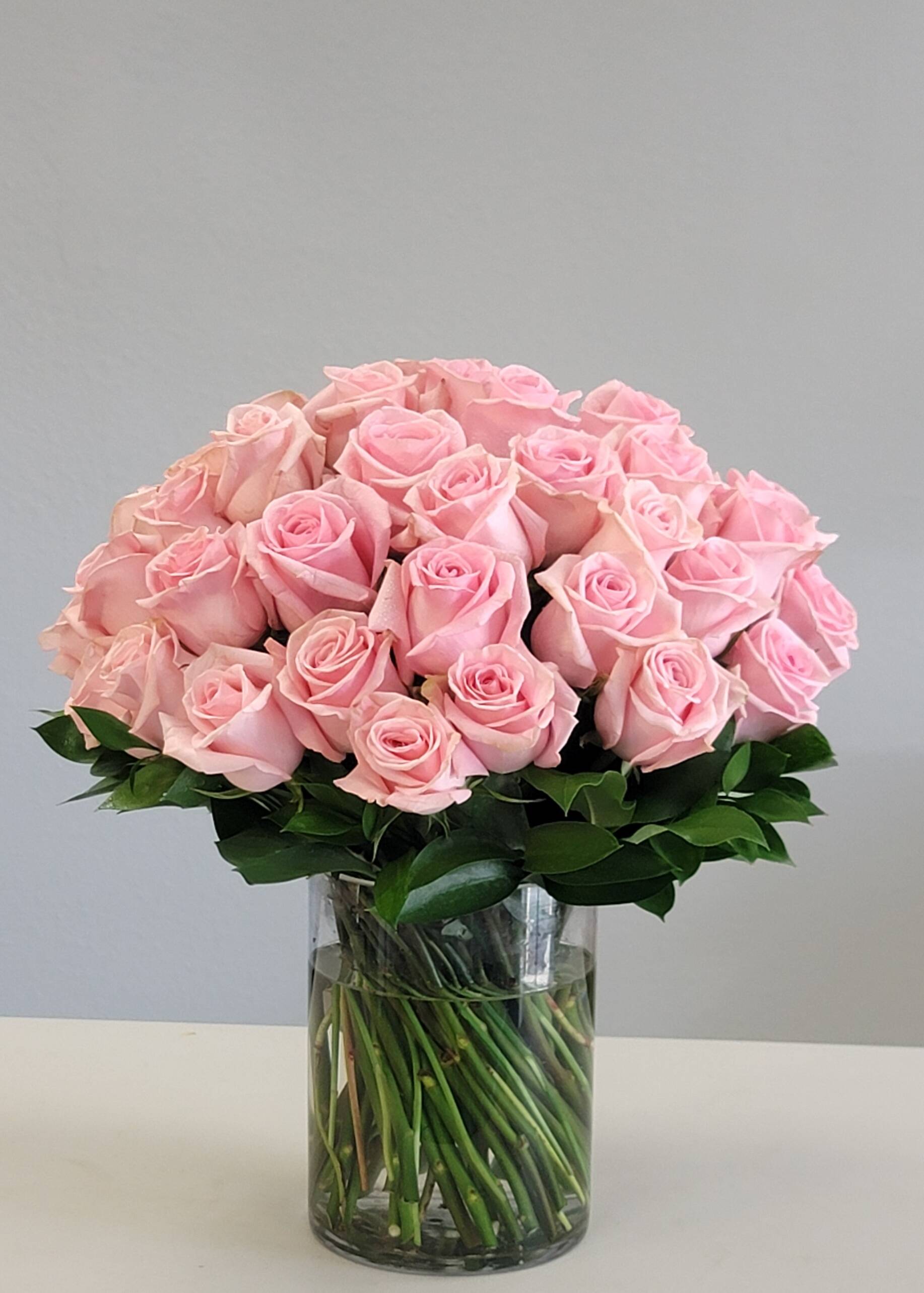 ​Free Delivery Till June 15th, Grab the Coupon Code!