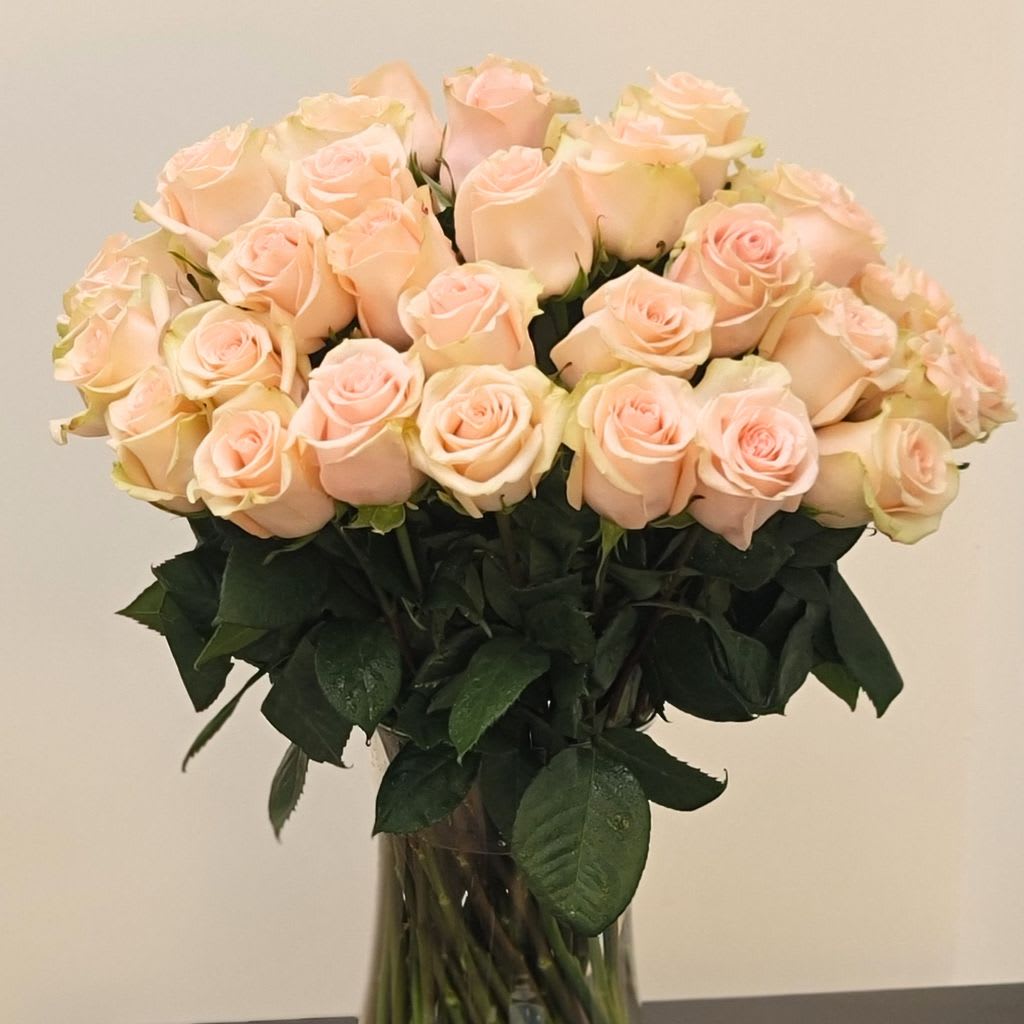 Order Your Flower Stems in Bulk in Orange County
