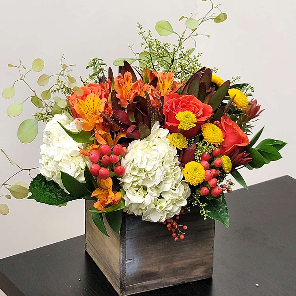 Fall for PSL: Petals, Stems & Leaves 