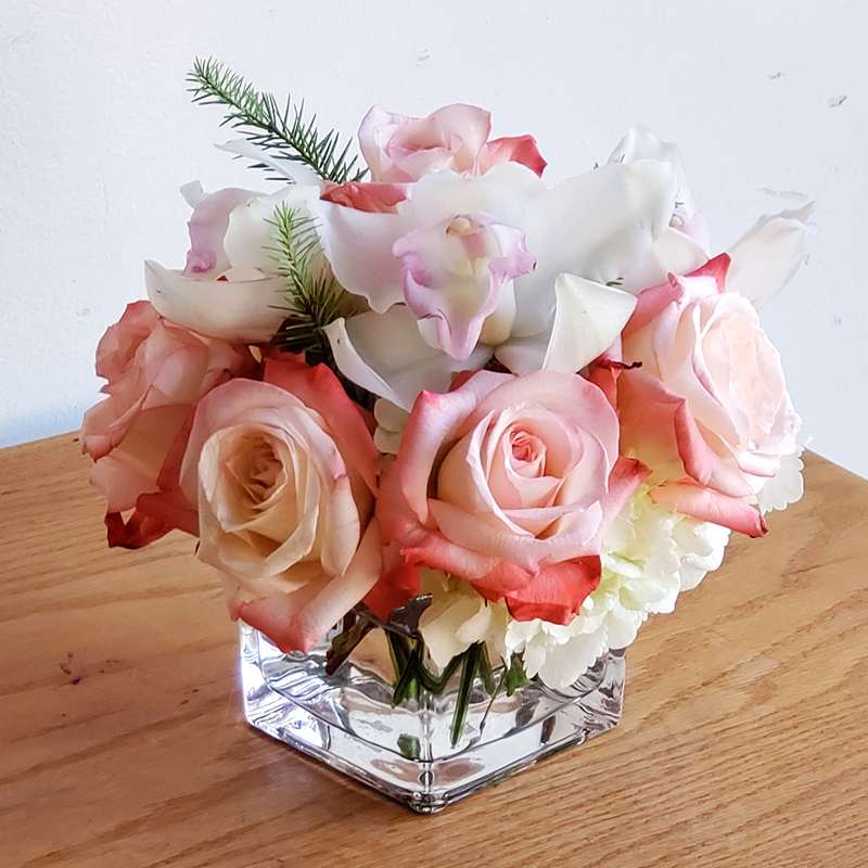 To all the best friends out there!