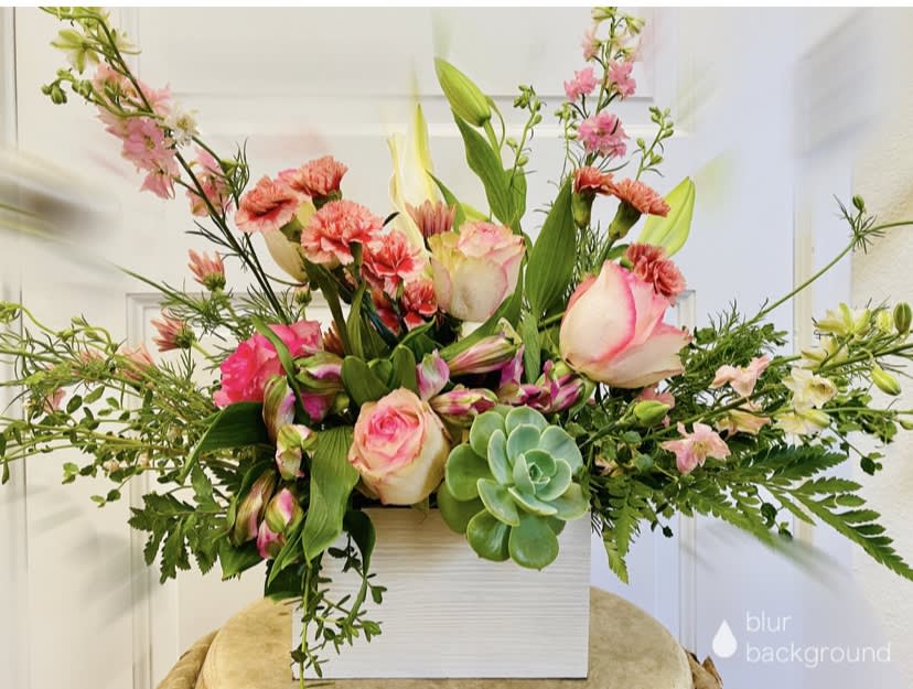 THANKSGIVING PROMOTION