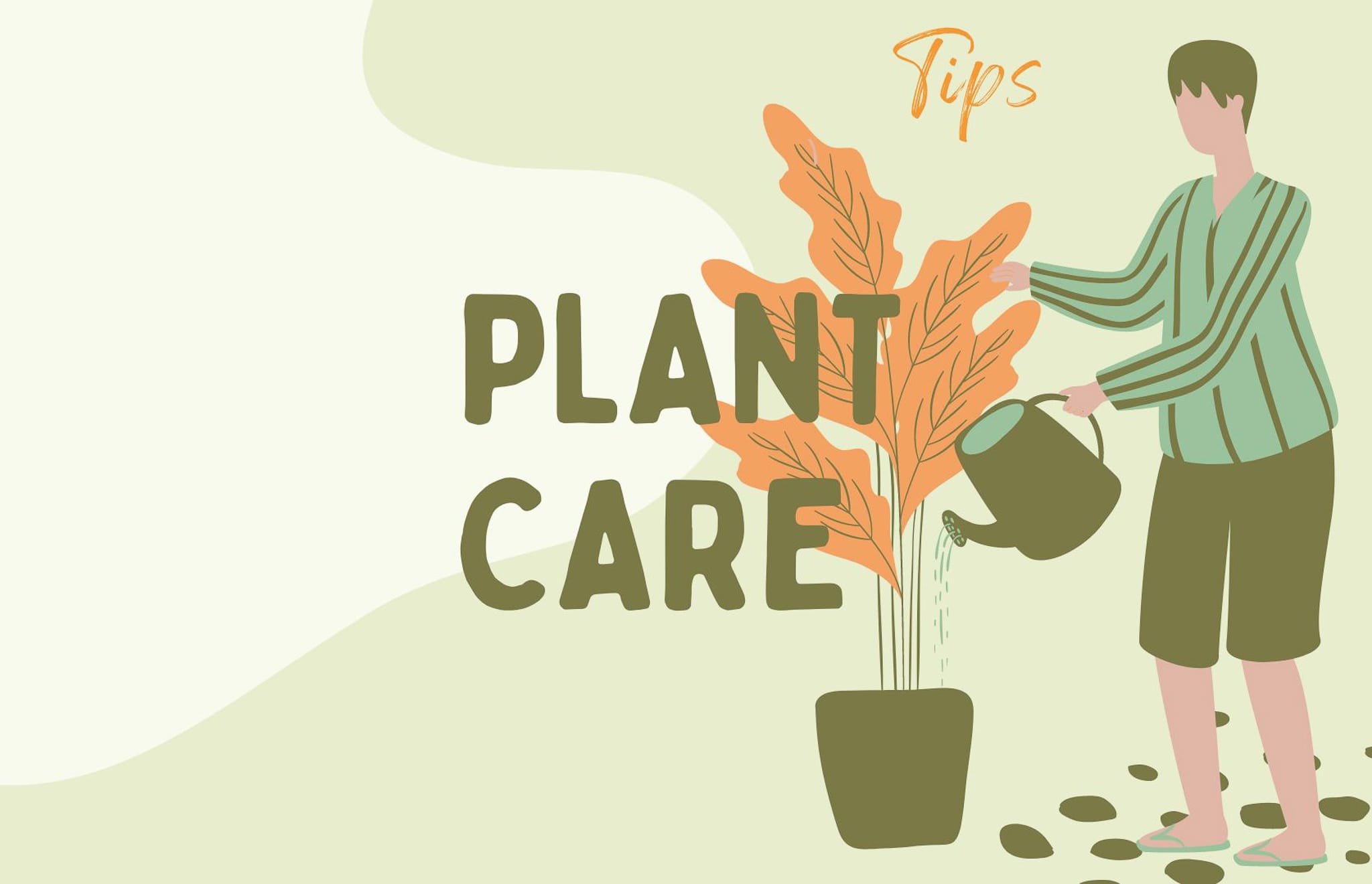 Plant Care Tips and Tricks