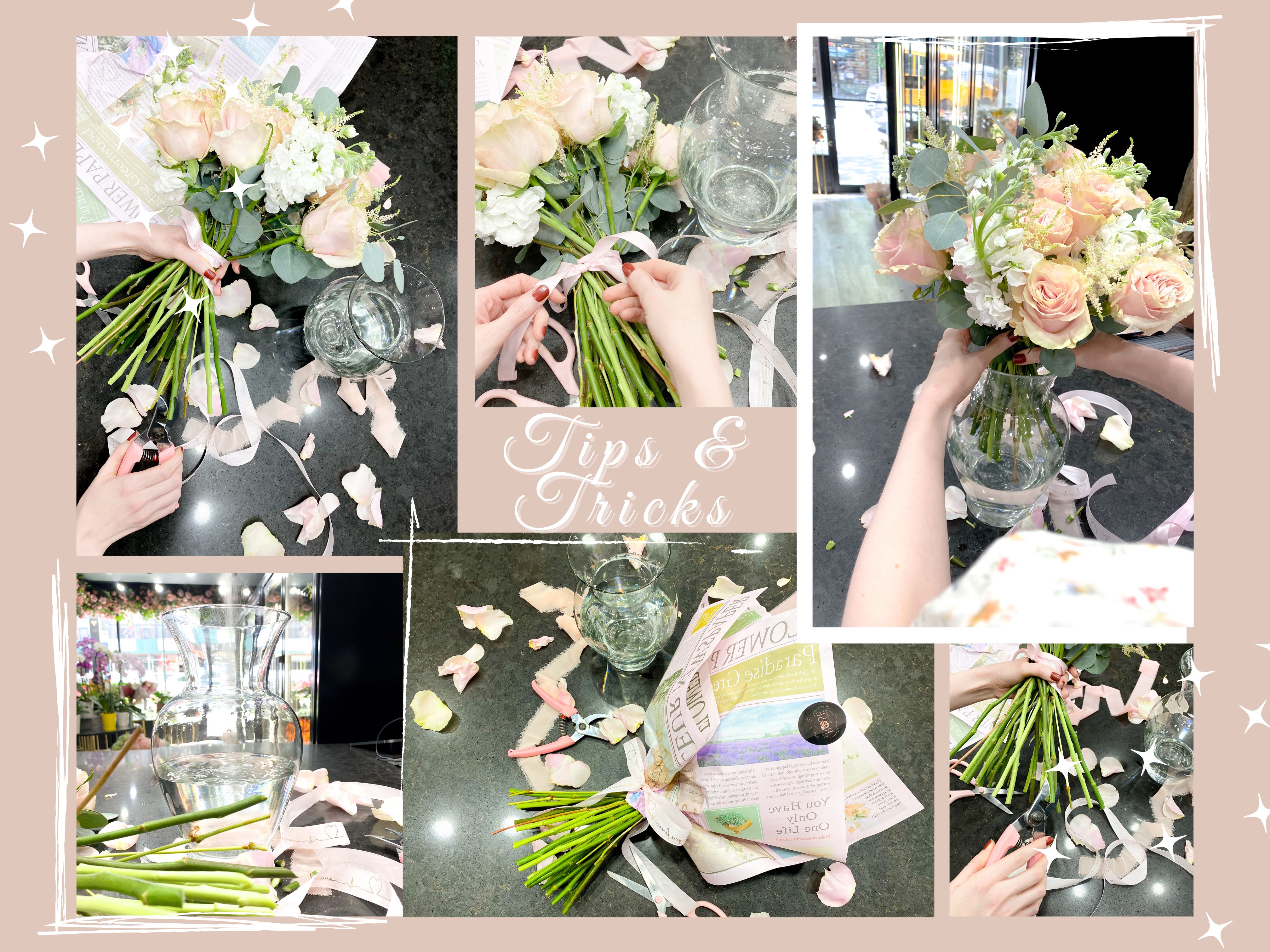 ​Flower Care: Tips & Tricks