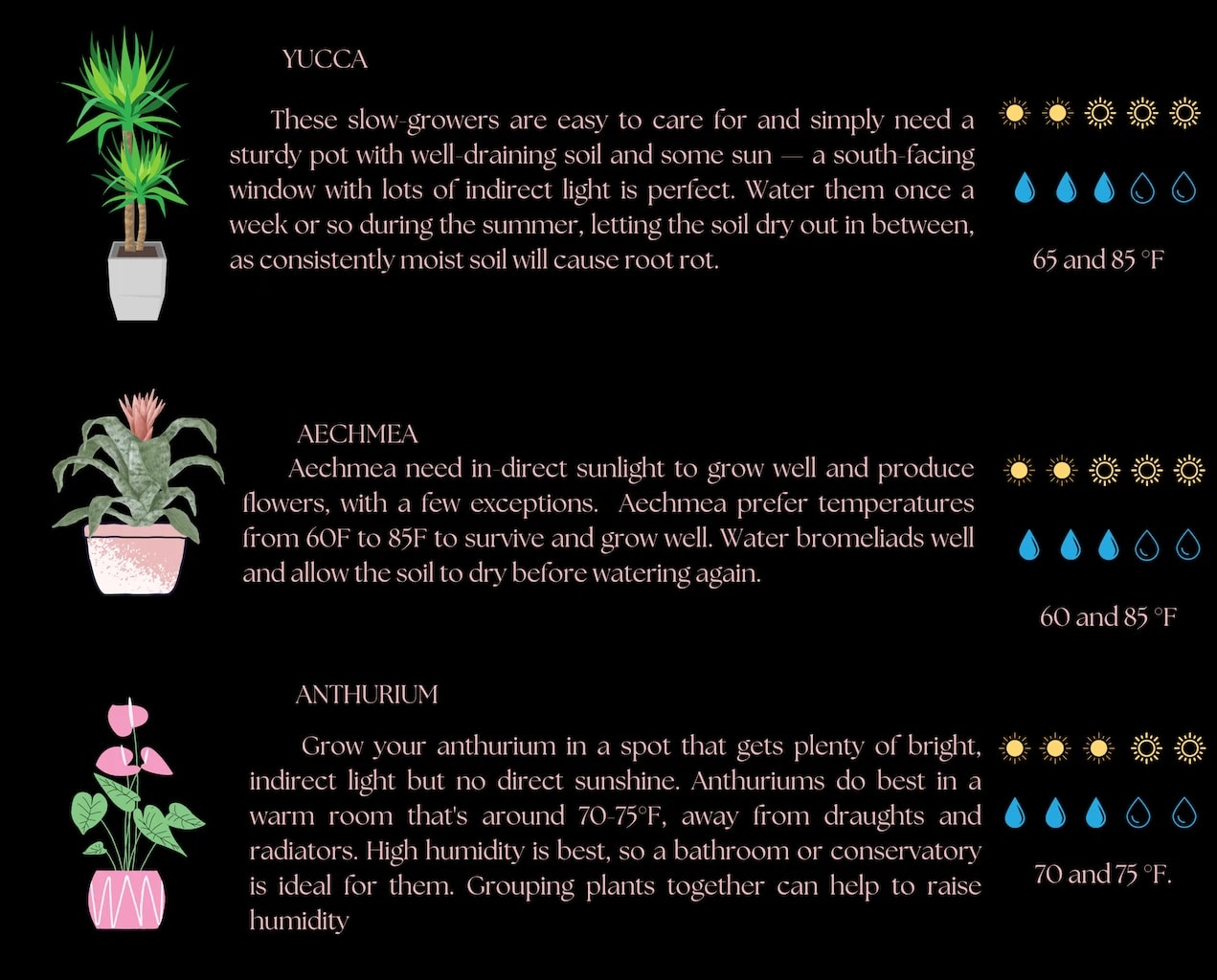 Le Jardin Rose Plant Care