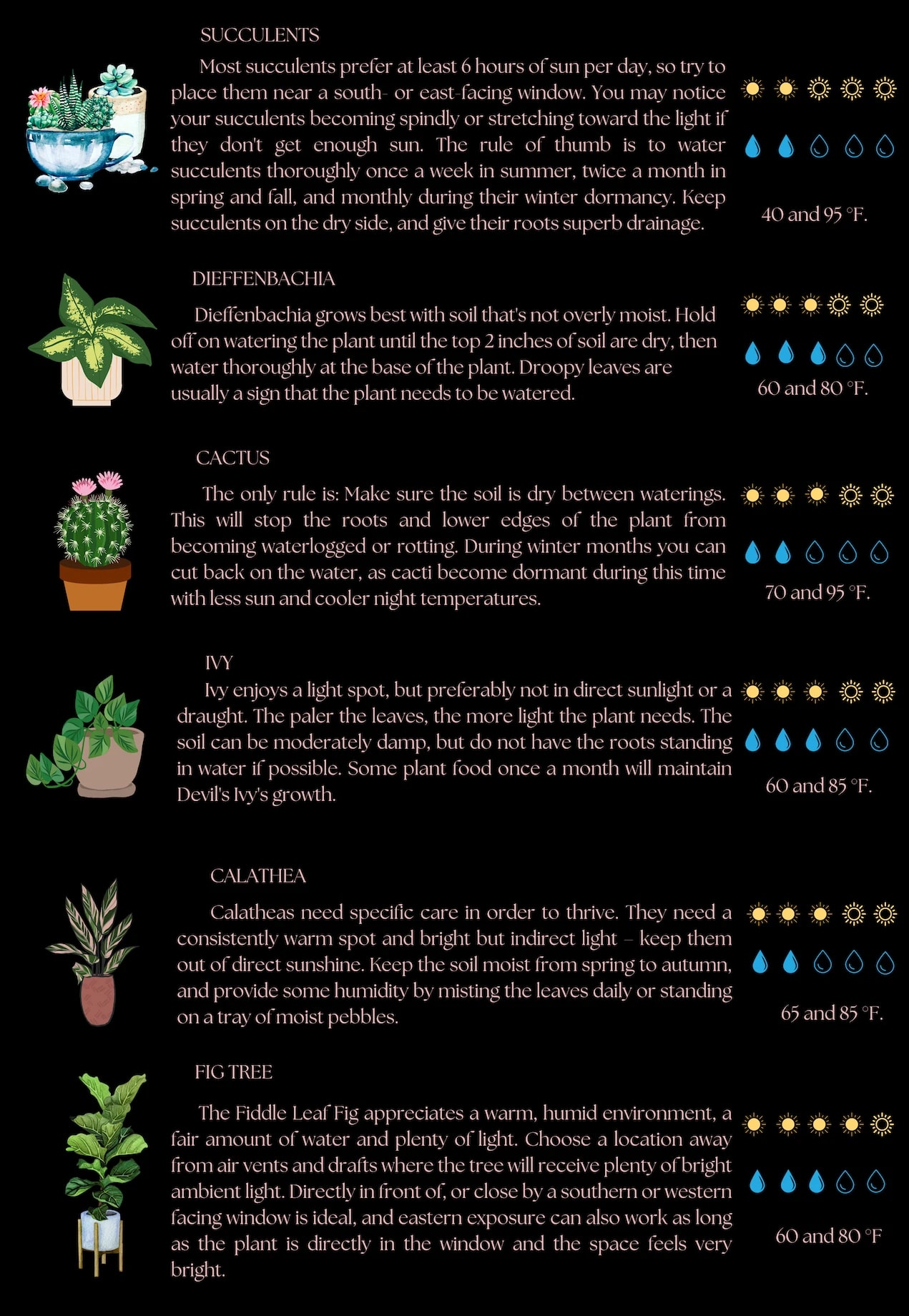 Le Jardin Rose Plant Care