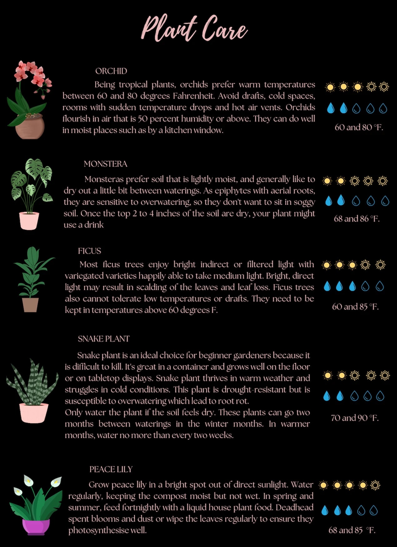 Le Jardin Rose Plant Care