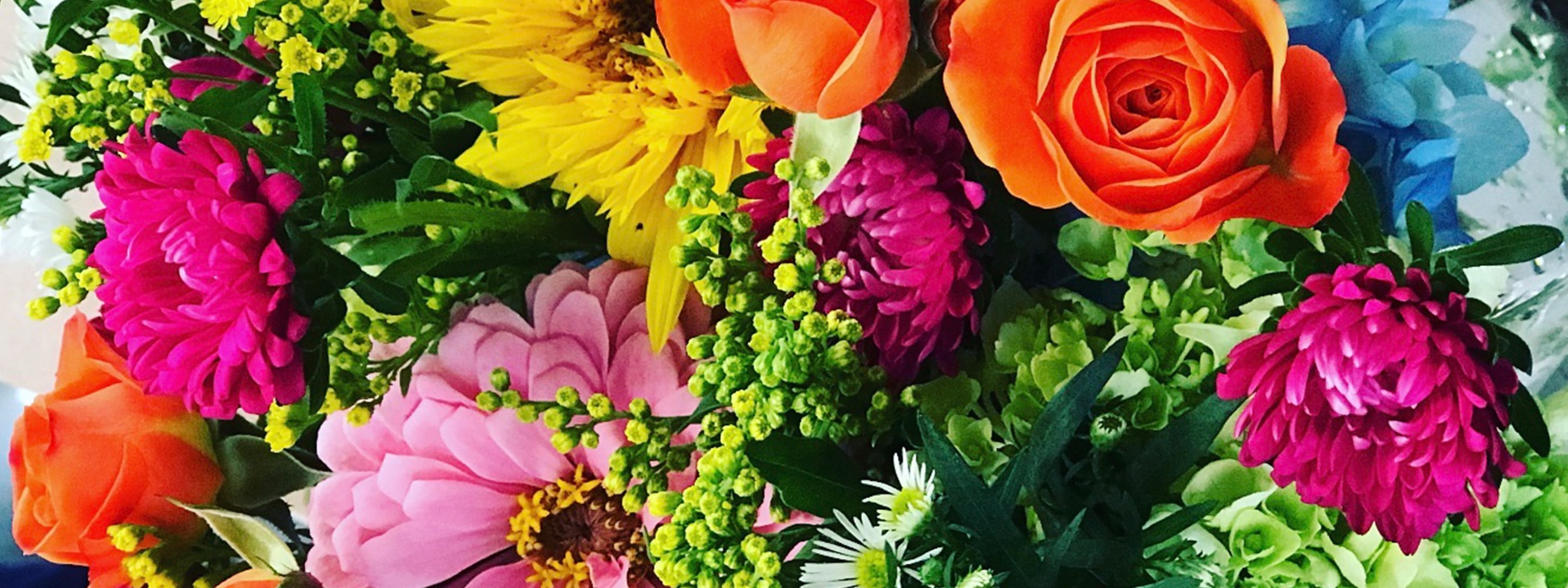 Joplin Florist Flower Delivery by The Wild Flower