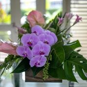 Tropical Foliage & Orchids Pre-Wedding Event