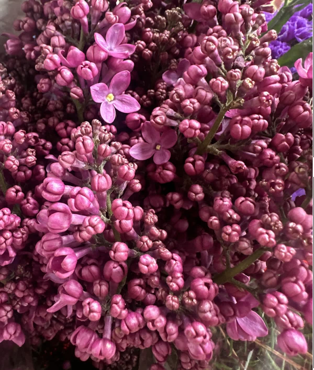 The Art of Flower Arrangements: How Florists Create 