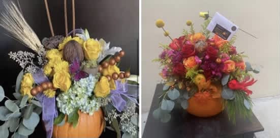 Holiday Designer Choice Glorious Pumpkin