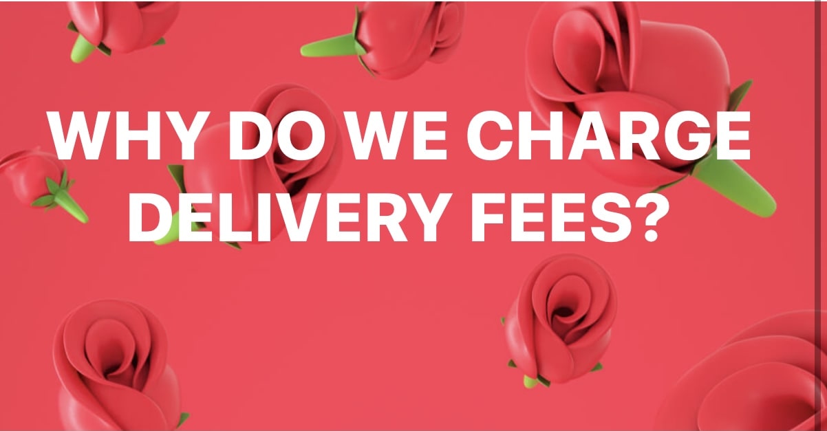 Why do we charge delivery fees?