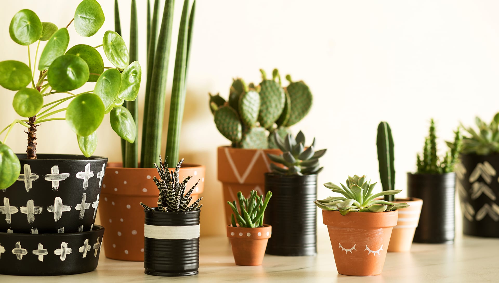 Centennial Florist Flower Delivery by Denver Plant Delivery