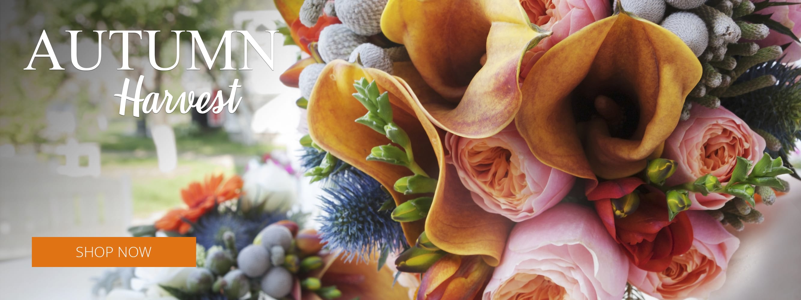 Westwood Florist Flower Delivery by Westwood Gardens Flower Shop