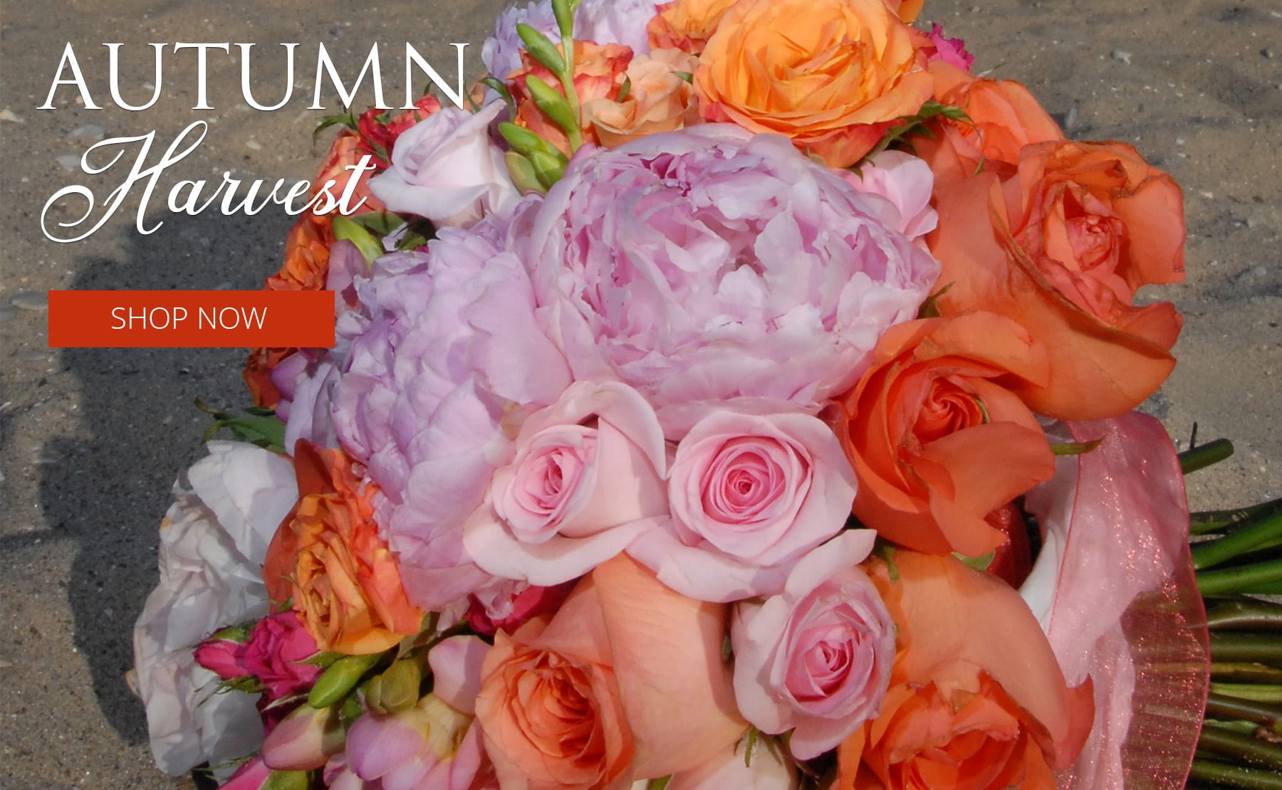 Oxnard Florist Flower Delivery by Casa Blanca Flowers