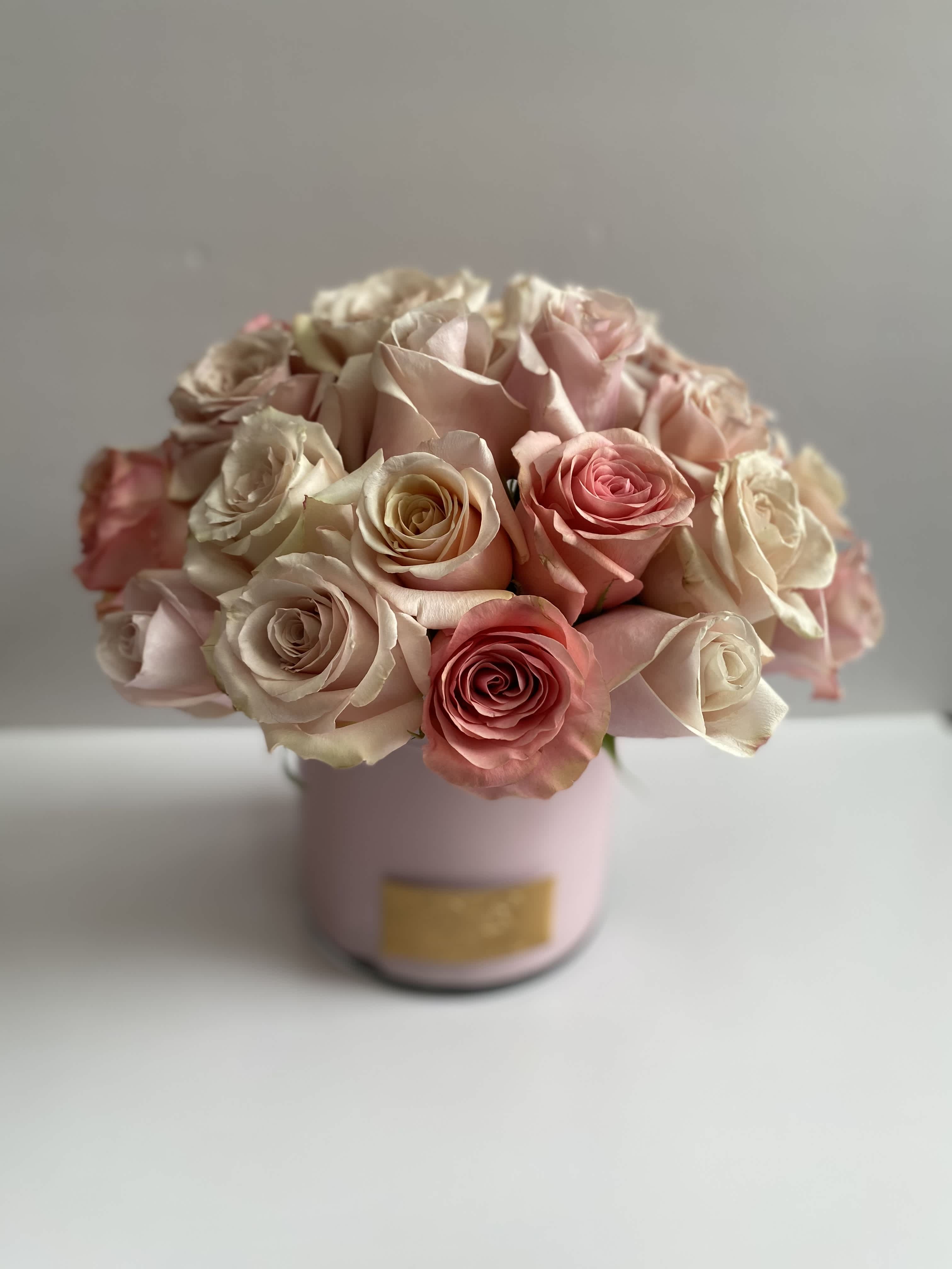 Valentines Day Background- Buzzy Bee Flowers