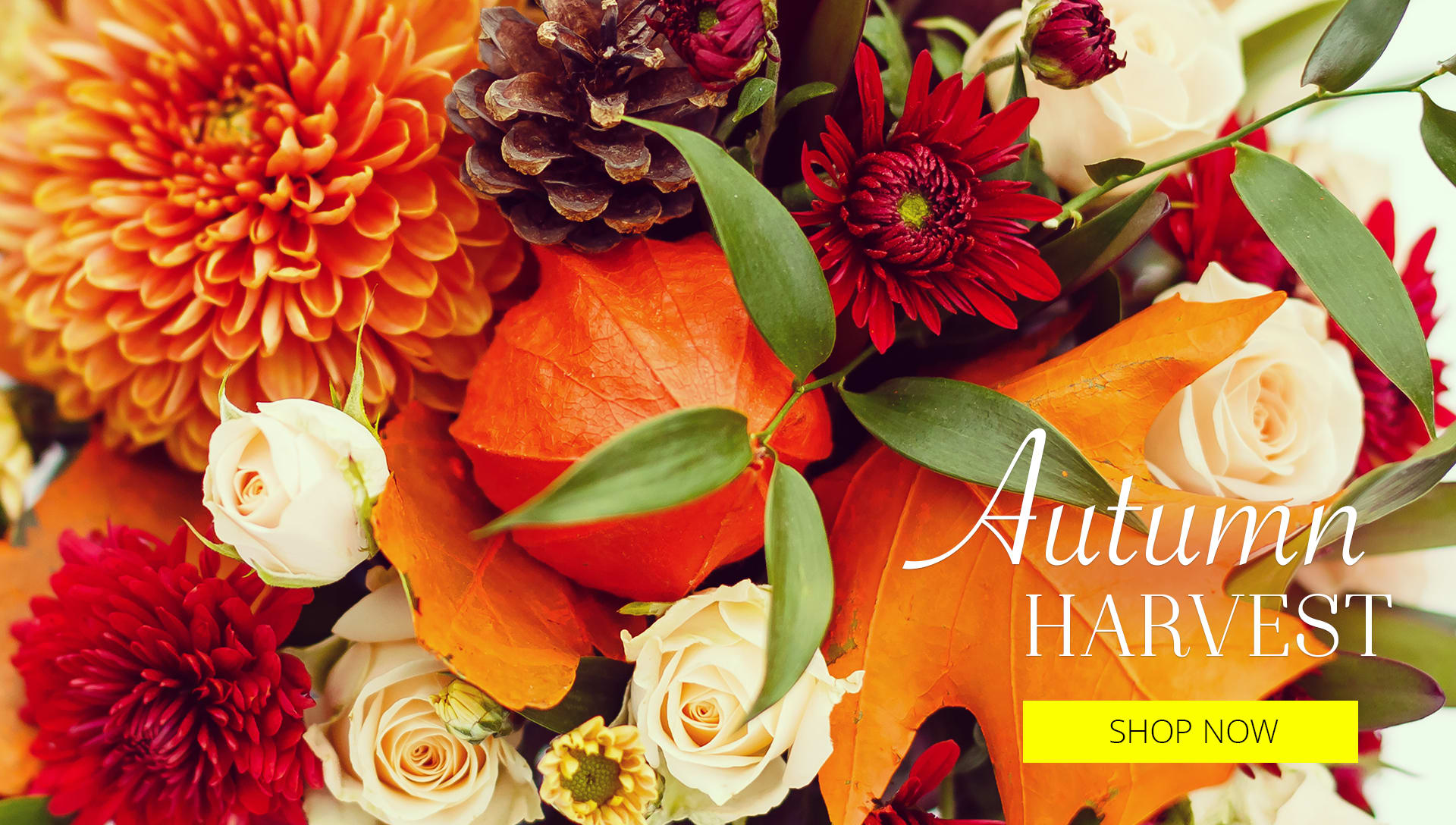 Fairview Heights Florist Flower Delivery by Tilted Tulip