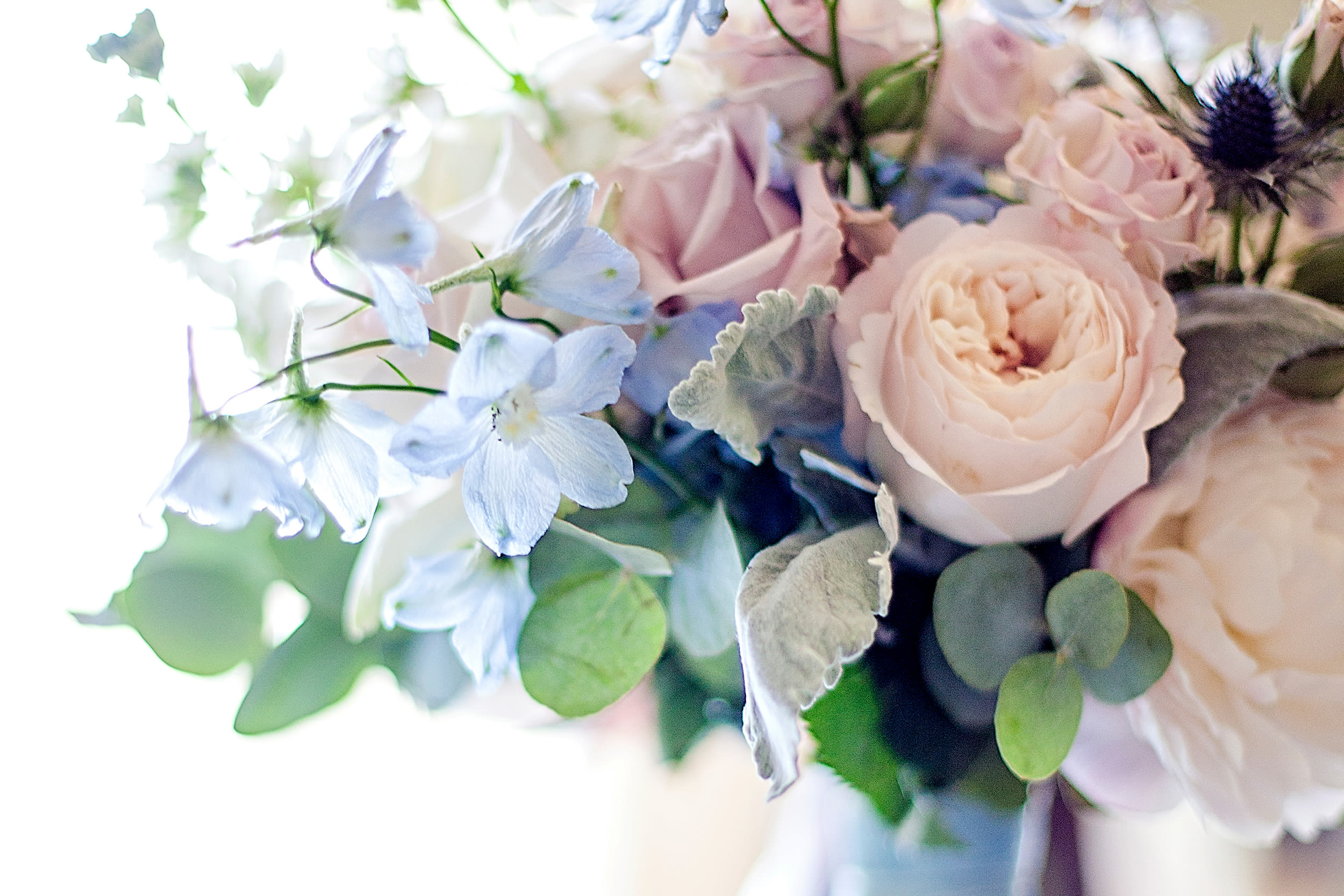 San Francisco Florist Flower Delivery by Urban Botanica