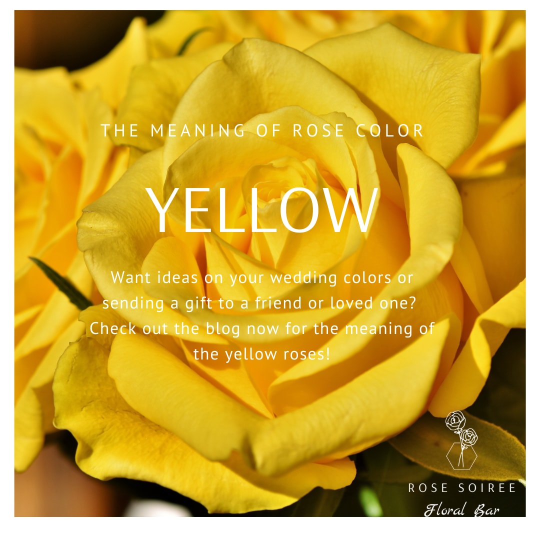 Hello Sunshine! The history and meaning of yellow ro